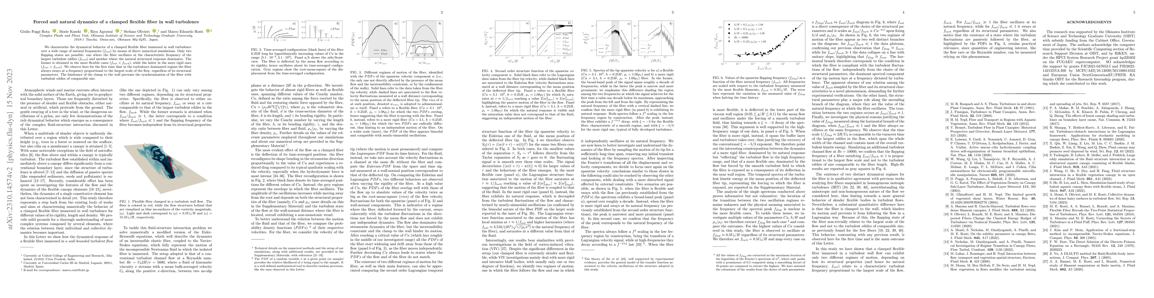 Thumbnail for Forced and natural dynamics of a clamped flexible fiber in wall
  turbulence