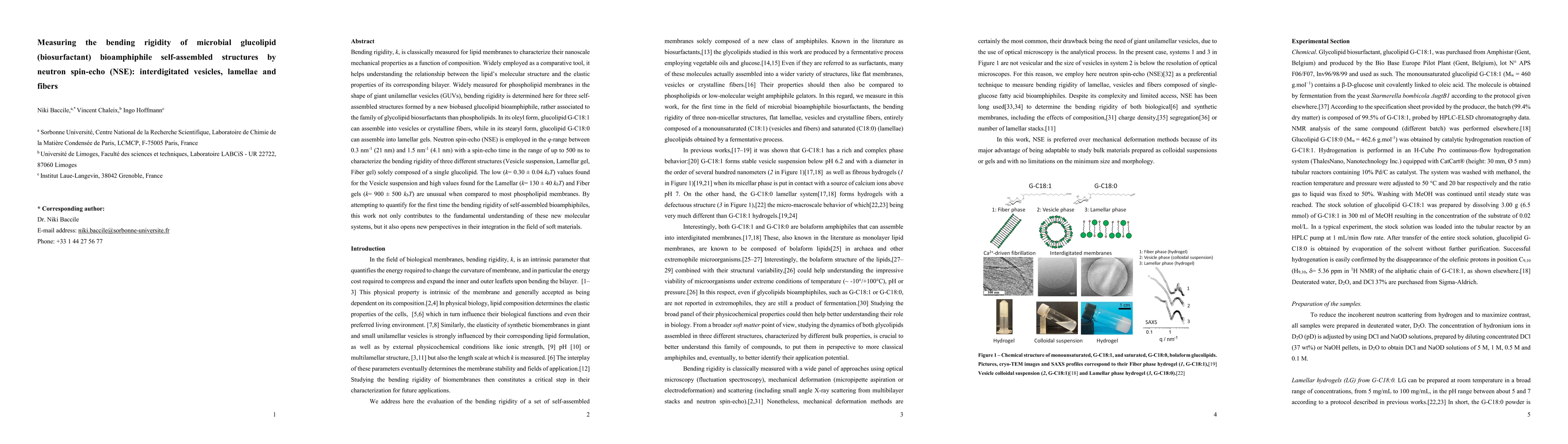 Thumbnail for Measuring the bending rigidity of microbial glucolipid (biosurfactant)
  bioamphiphile self-assembled structures by neutron spin-echo (NSE):
  interdigitated vesicles, lamellae and fibers