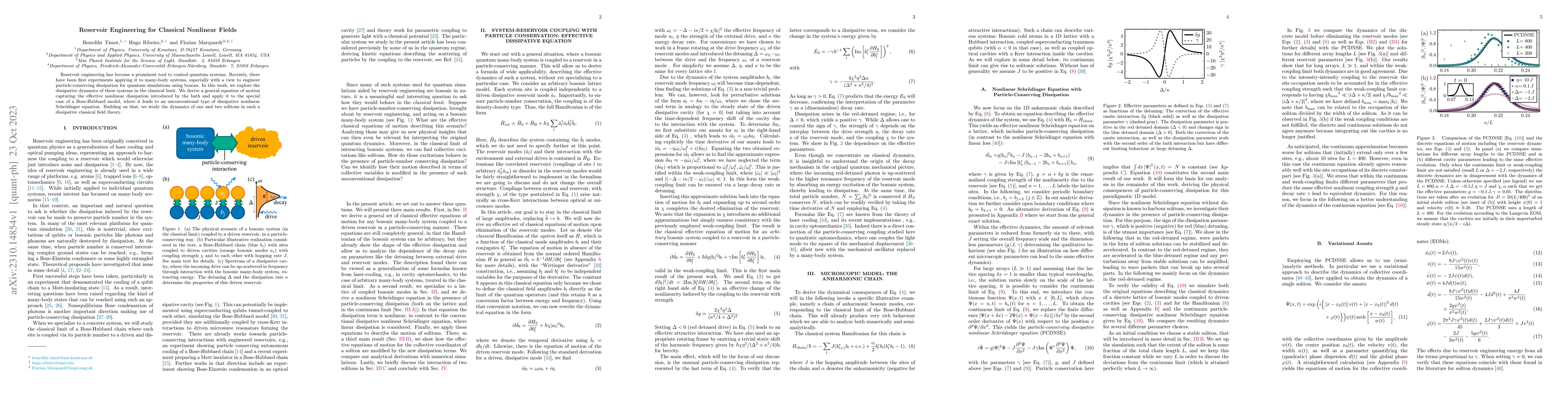 Thumbnail for Reservoir Engineering for Classical Nonlinear Fields