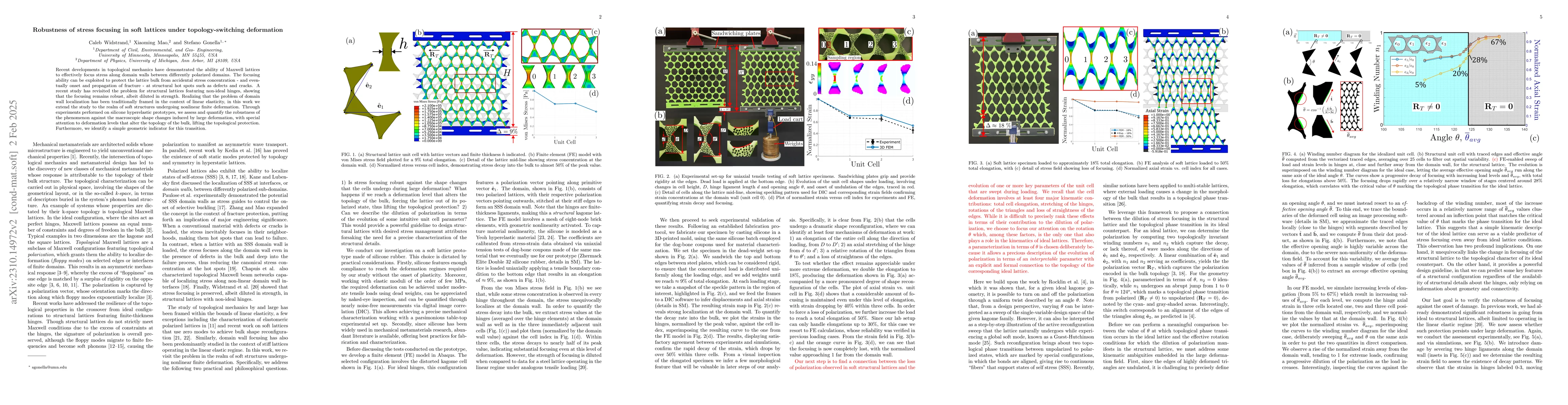 Thumbnail for Robustness of stress focusing in soft lattices under topology-switching
  deformation