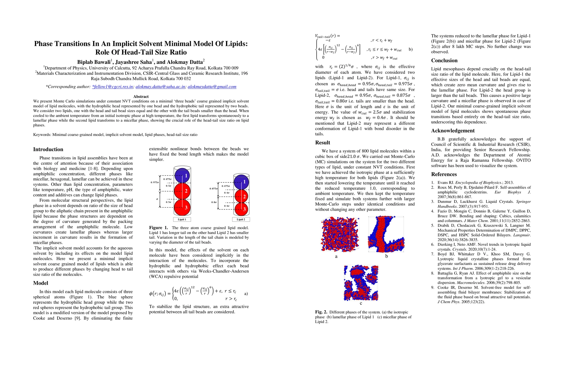 Thumbnail for Phase Transitions In An Implicit Solvent Minimal Model Of Lipids: Role
  Of Head-Tail Size Ratio