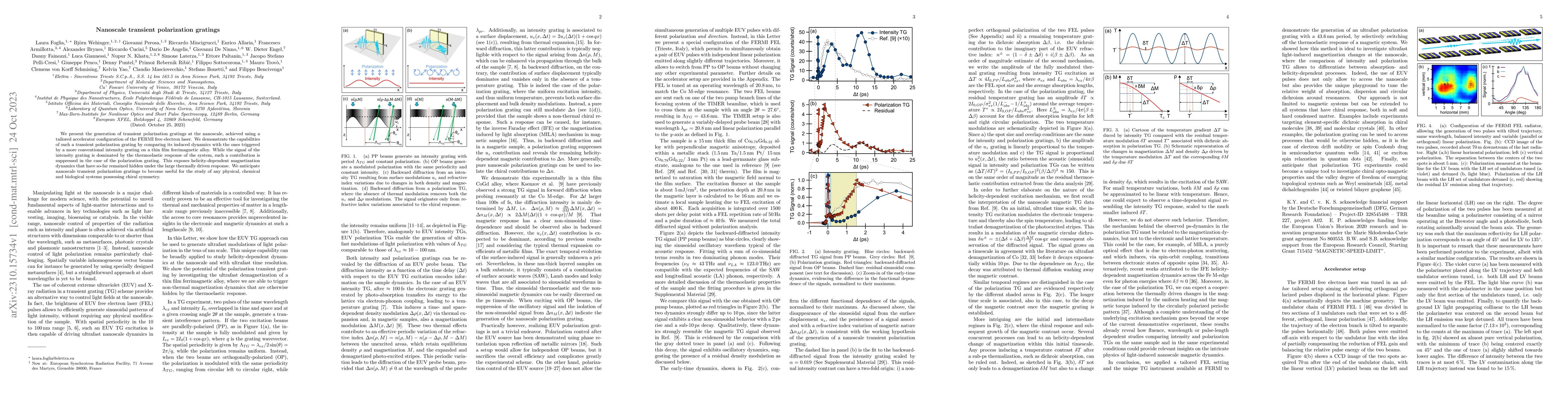 Thumbnail for Nanoscale transient polarization gratings