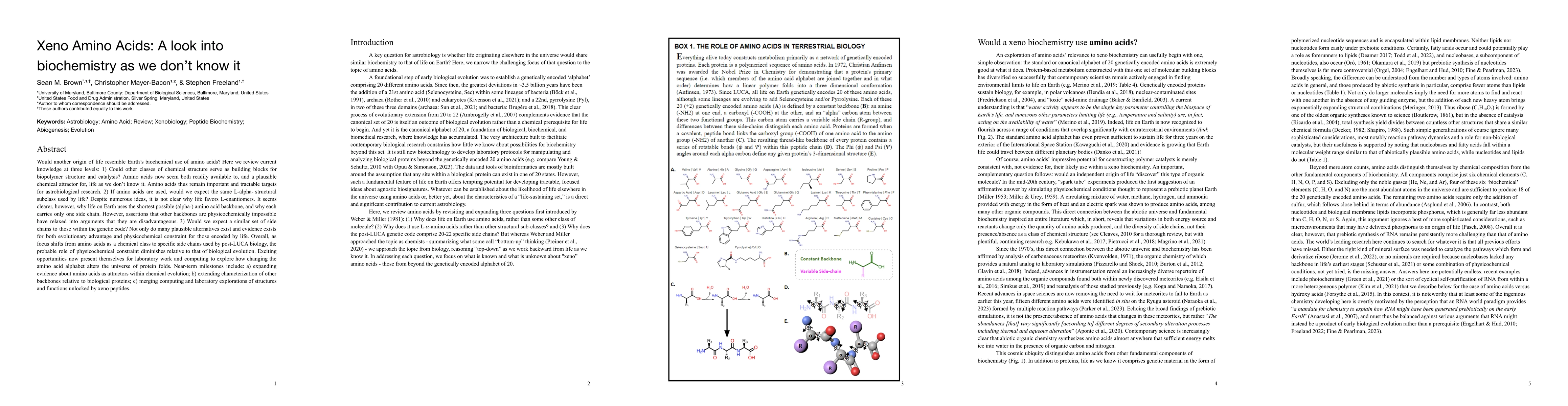 Thumbnail for Xeno Amino Acids: A look into biochemistry as we don't know it