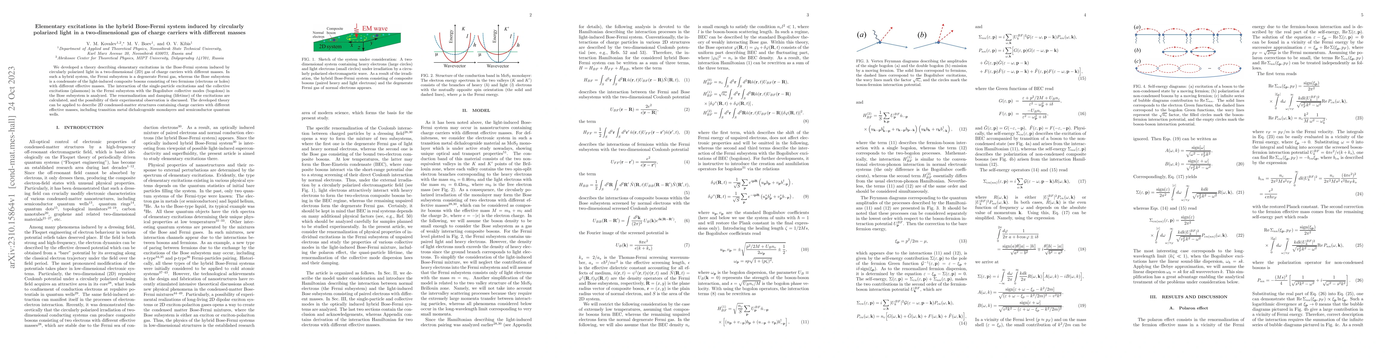 Thumbnail for Elementary excitations in the hybrid Bose-Fermi system induced by
  circularly polarized light in a two-dimensional gas of charge carriers with
  different masses