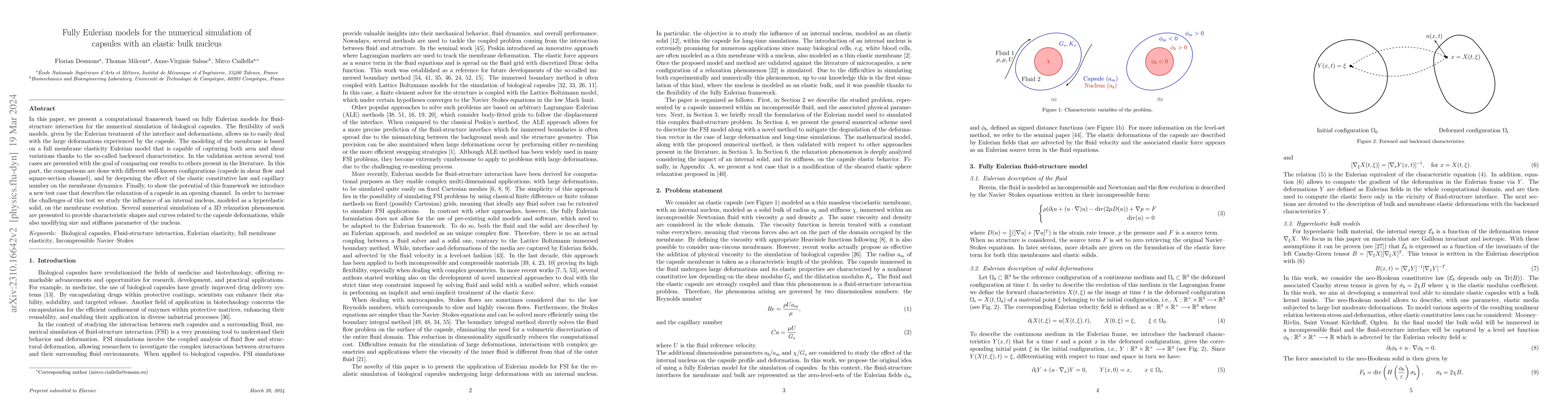 Thumbnail for Fully Eulerian models for the numerical simulation of capsules with an
  elastic bulk nucleus