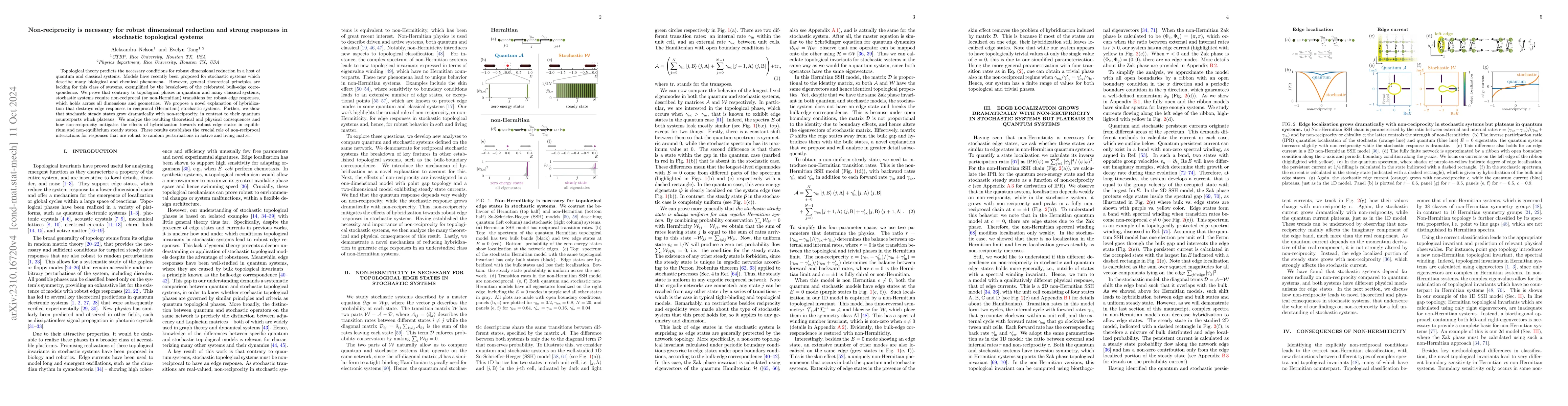 Thumbnail for Non-reciprocity permits edge states and strong localization in
  stochastic topological phases