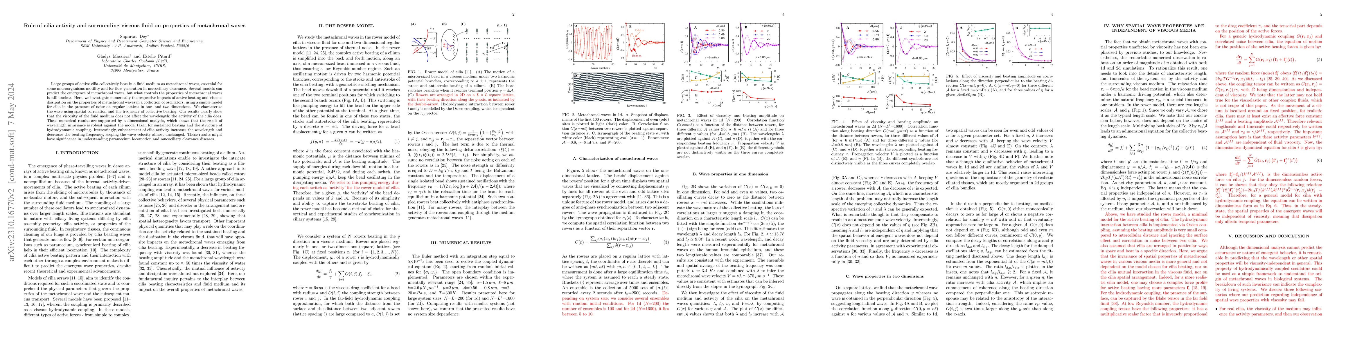 Thumbnail for Role of cilia activity and surrounding viscous fluid on properties of
  metachronal waves
