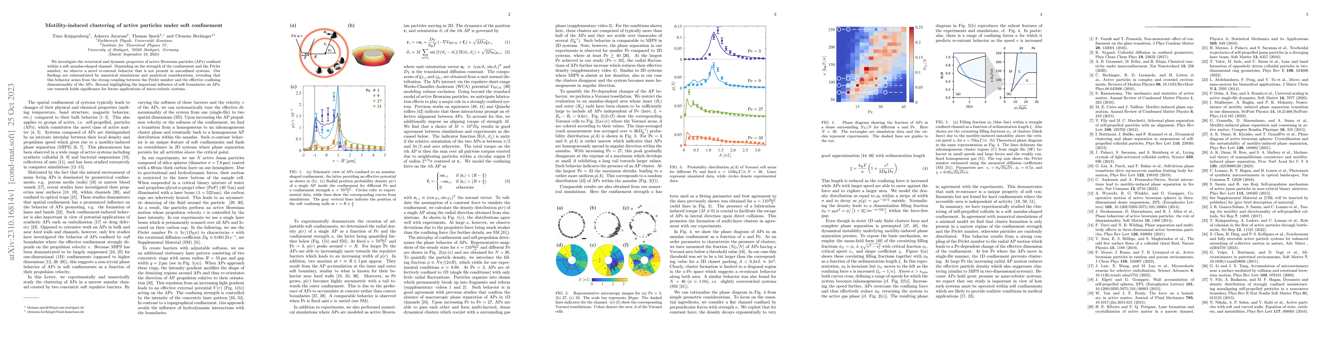 Thumbnail for Motility-induced clustering of active particles under soft confinement
