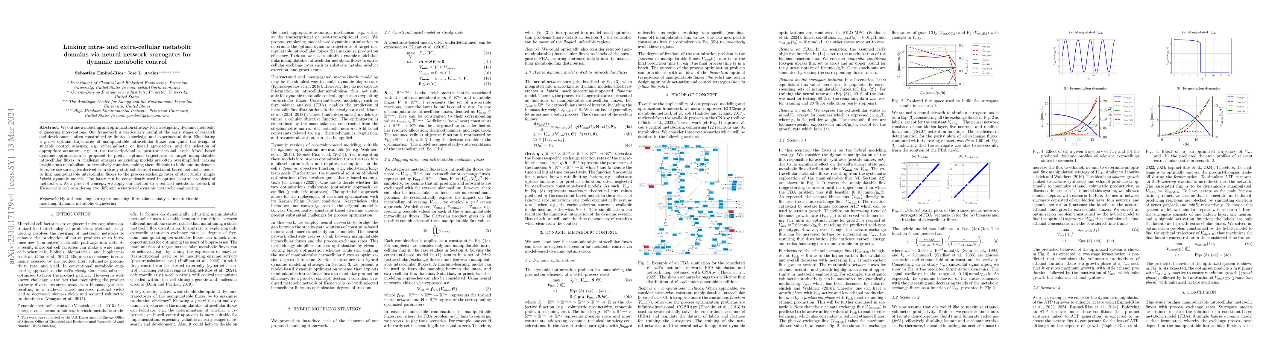 Thumbnail for Linking intra- and extra-cellular metabolic domains via neural-network
  surrogates for dynamic metabolic control