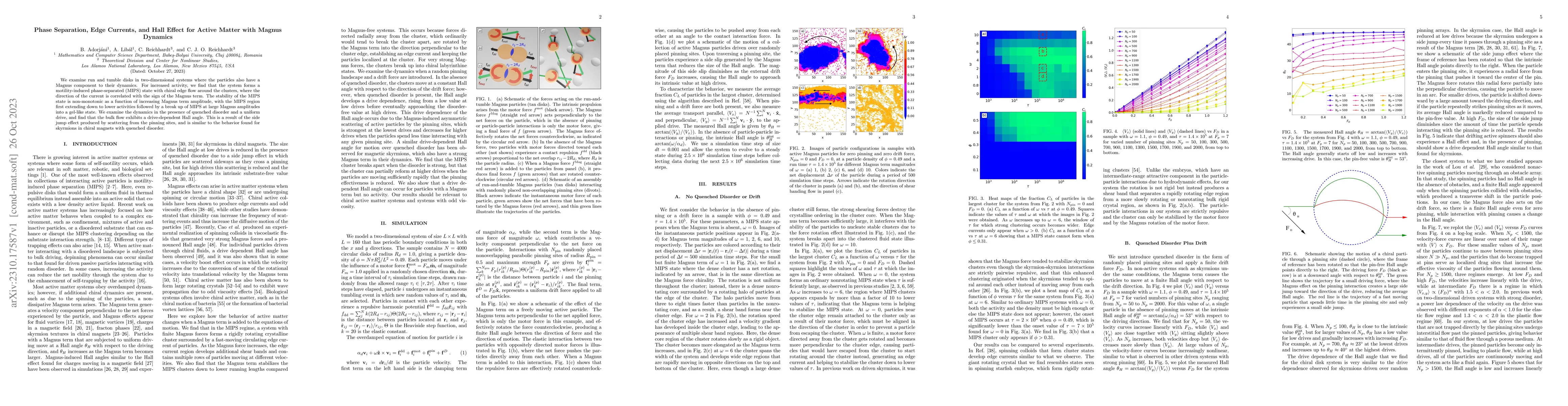 Thumbnail for Phase Separation, Edge Currents, and Hall Effect for Active Matter with
  Magnus Dynamics