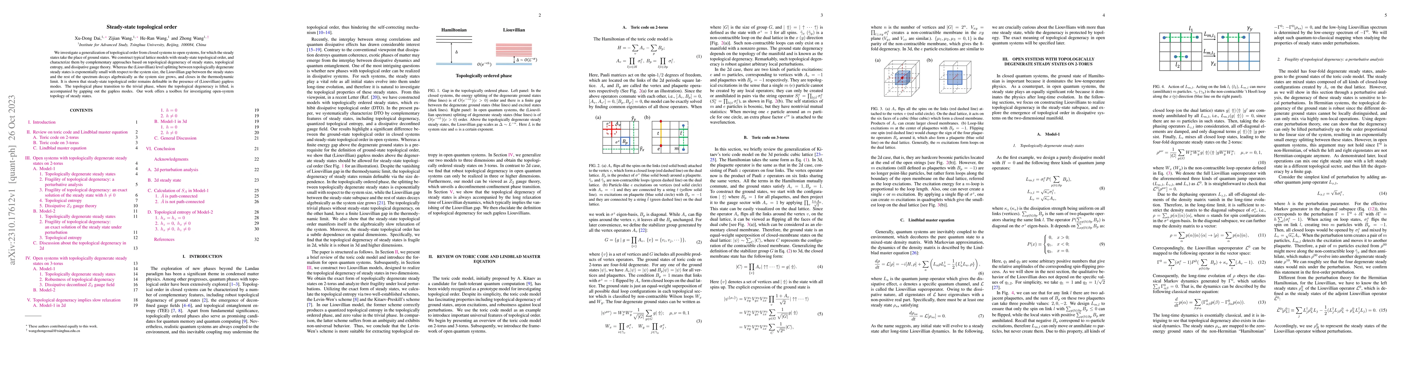 Thumbnail for Steady-state topological order