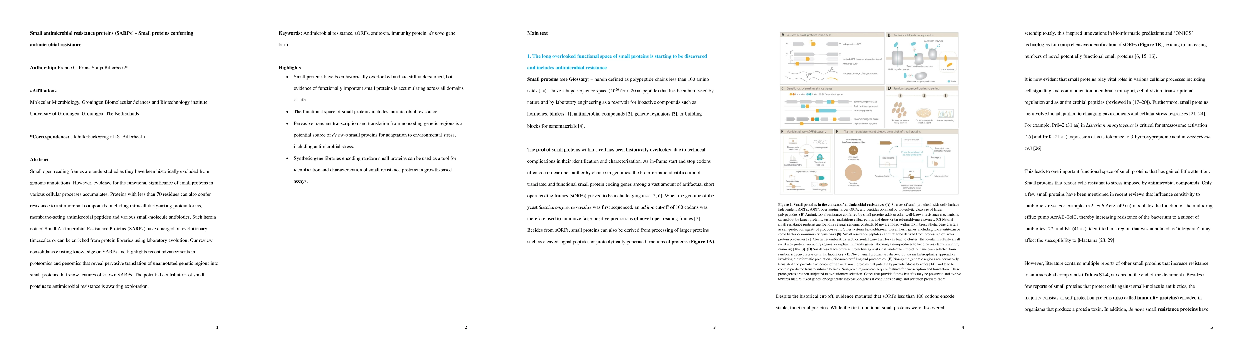Thumbnail for Small antimicrobial resistance proteins (SARPs): Small proteins
  conferring antimicrobial resistance