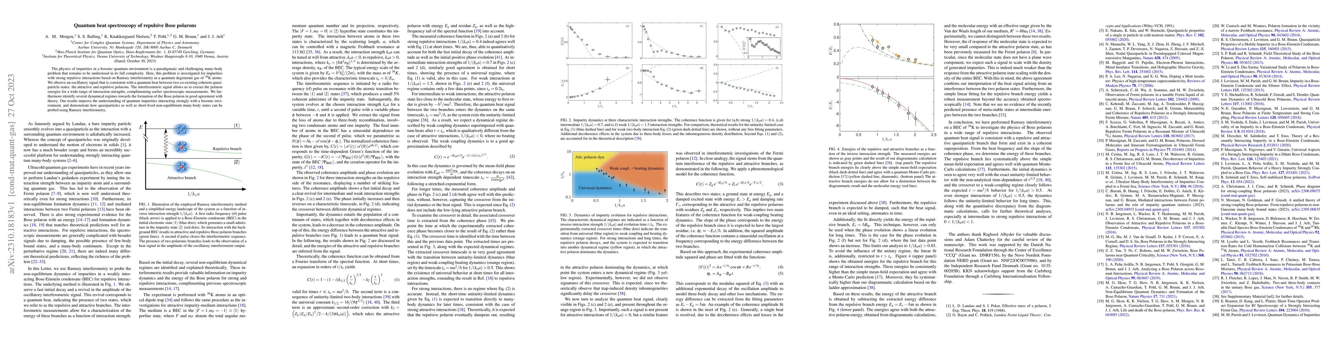 Thumbnail for Quantum beat spectroscopy of repulsive Bose polarons