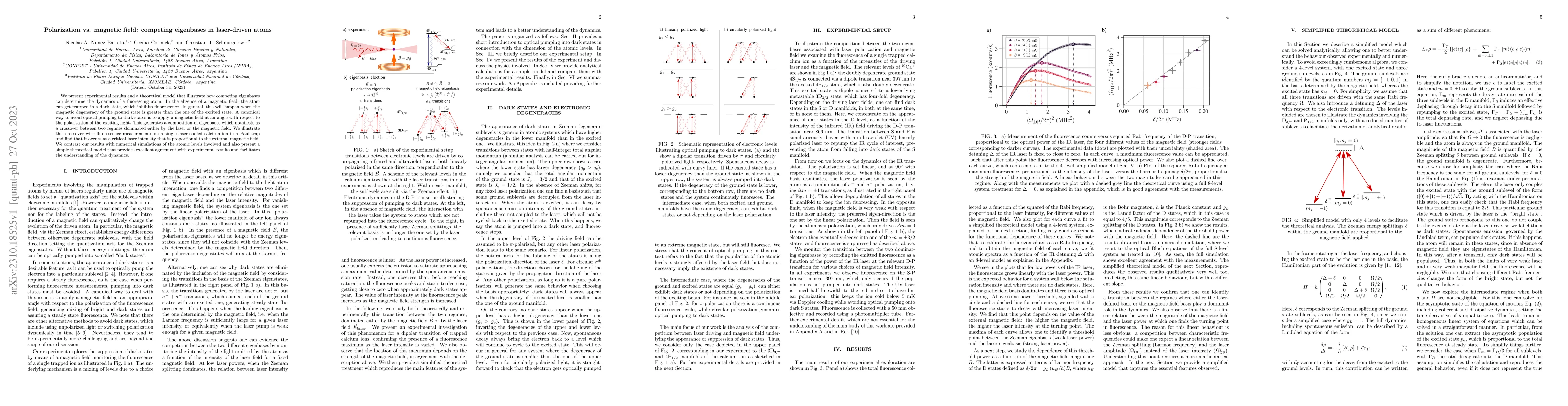 Thumbnail for Polarization vs. magnetic field: competing eigenbases in laser-driven
  atoms