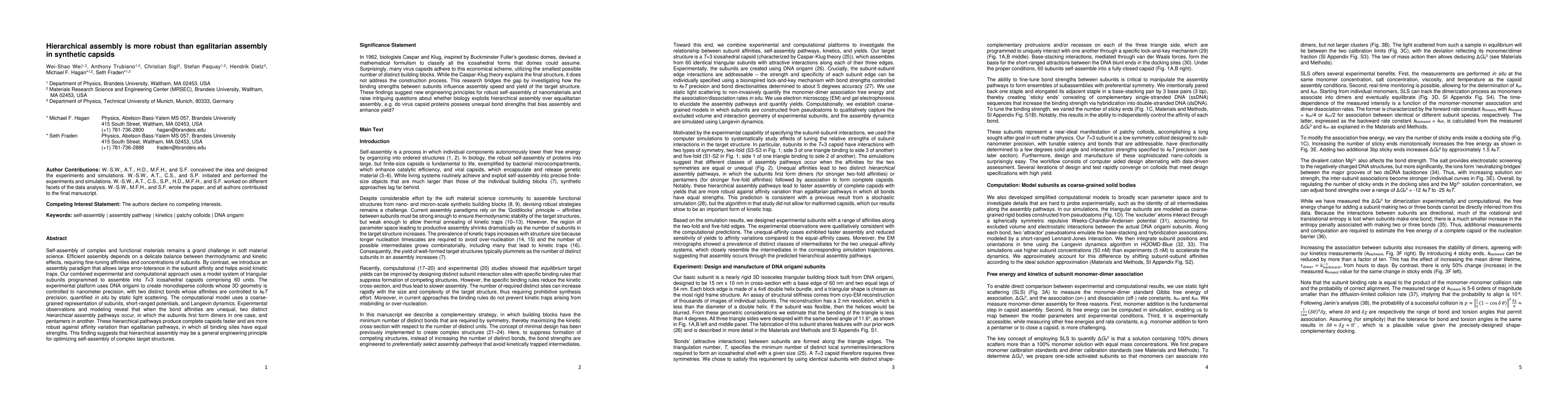 Thumbnail for Hierarchical assembly is more robust than egalitarian assembly in
  synthetic capsids