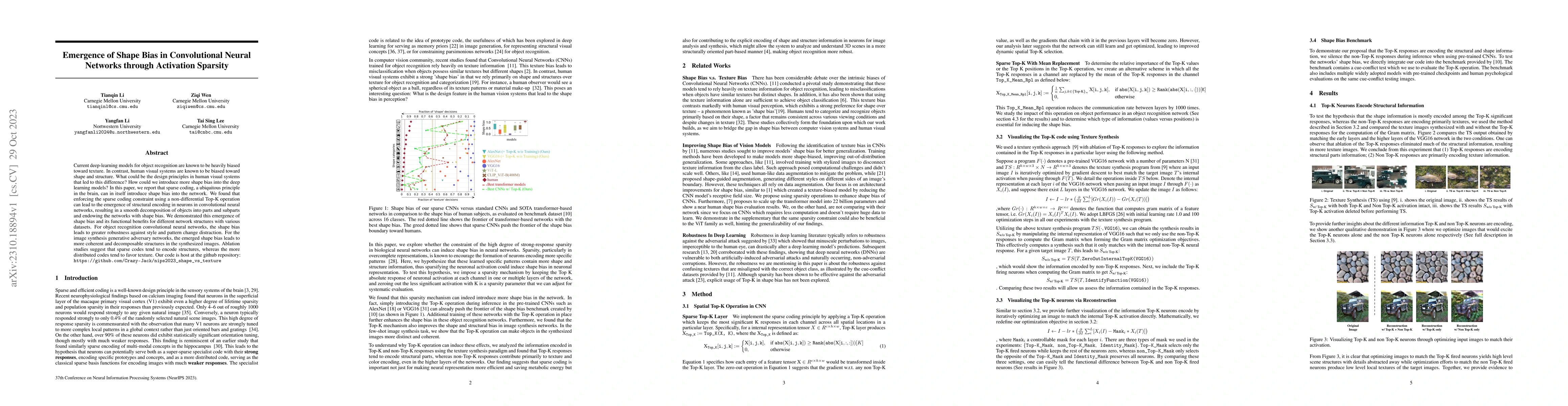 Thumbnail for Emergence of Shape Bias in Convolutional Neural Networks through
  Activation Sparsity