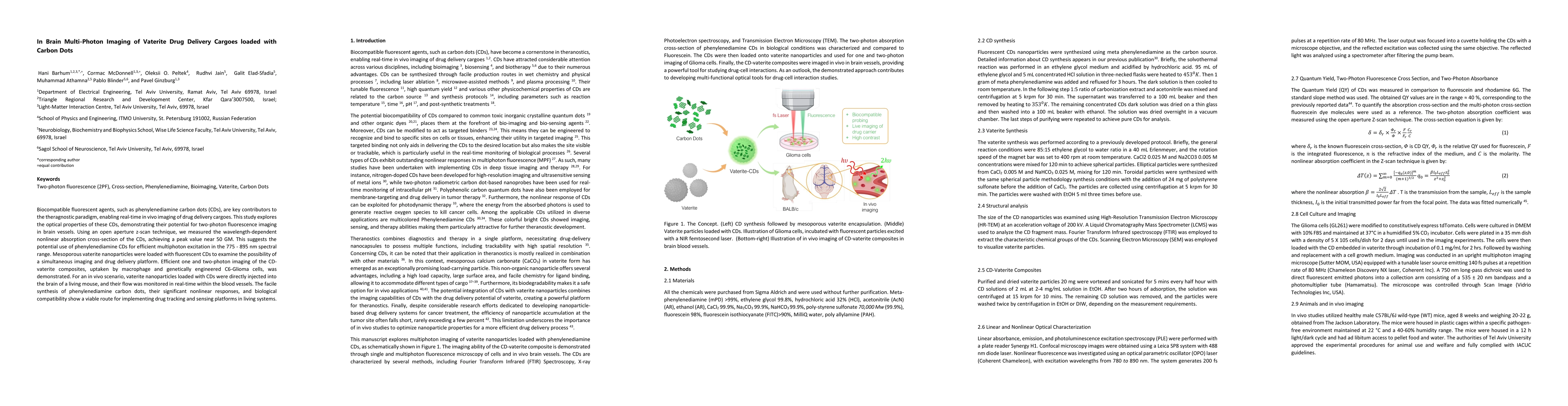 Thumbnail for In Brain Multi-Photon Imaging of Vaterite Drug Delivery Cargoes loaded
  with Carbon Dots