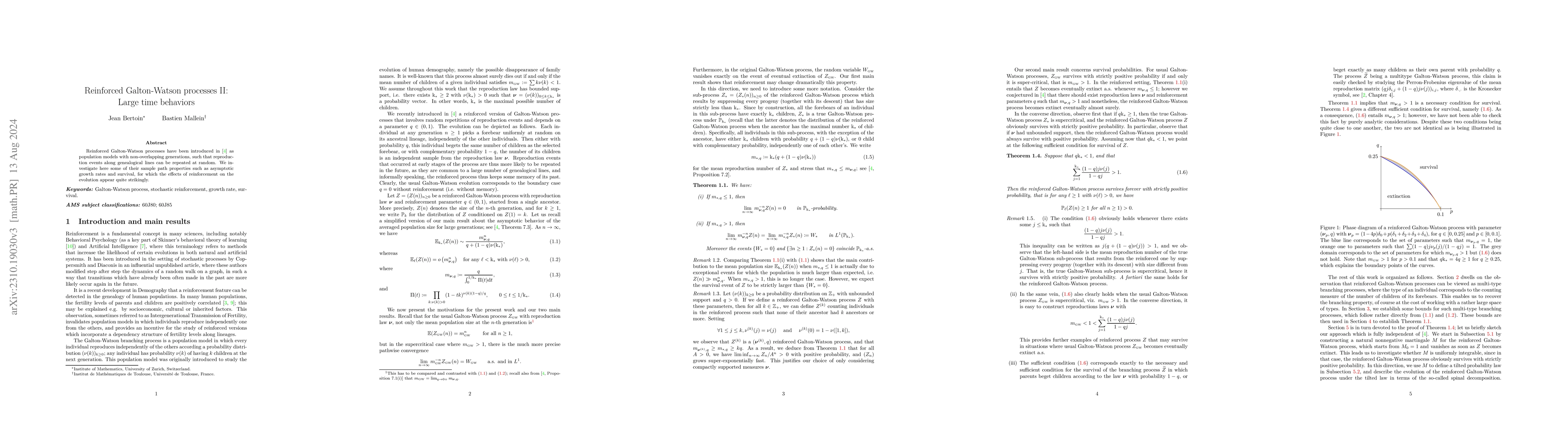 Thumbnail for Reinforced Galton-Watson processes II: Large time behaviors