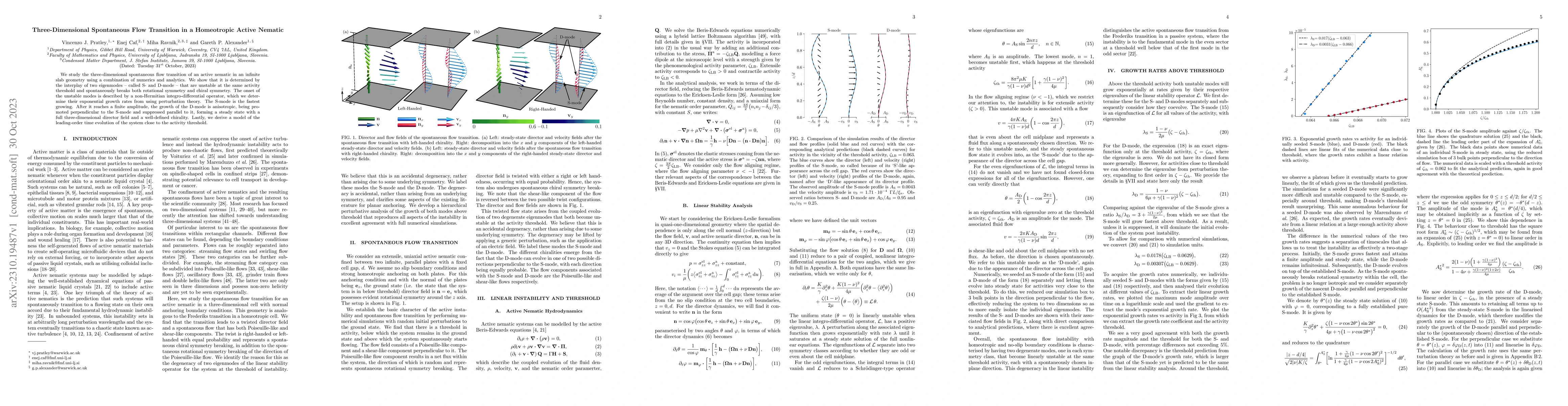 Thumbnail for Three-Dimensional Spontaneous Flow Transition in a Homeotropic Active
  Nematic