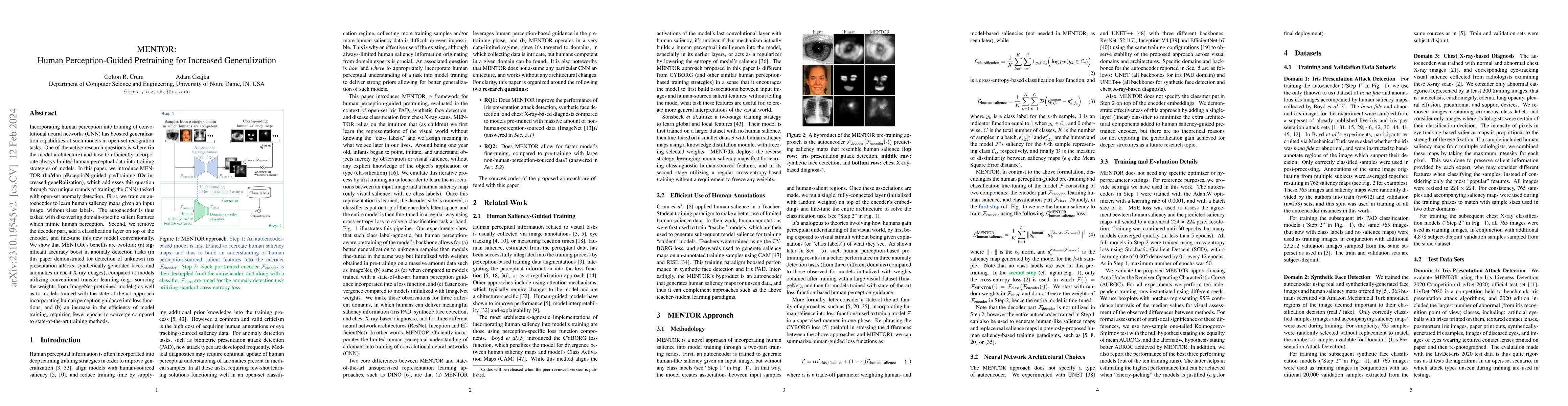 Thumbnail for MENTOR: Human Perception-Guided Pretraining for Increased Generalization