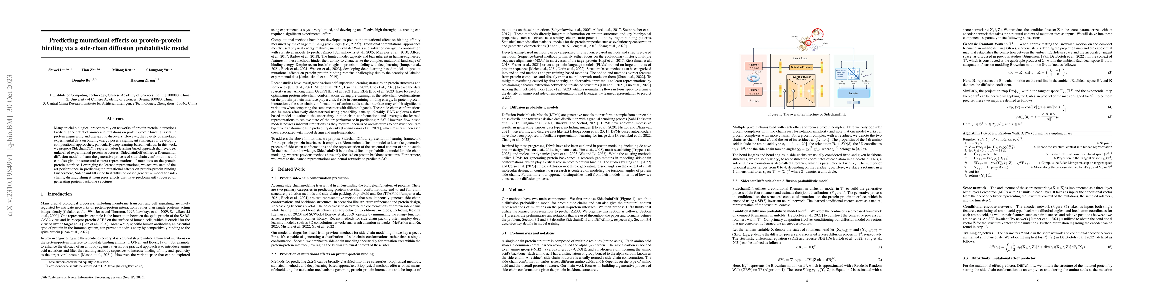 Thumbnail for Predicting mutational effects on protein-protein binding via a
  side-chain diffusion probabilistic model