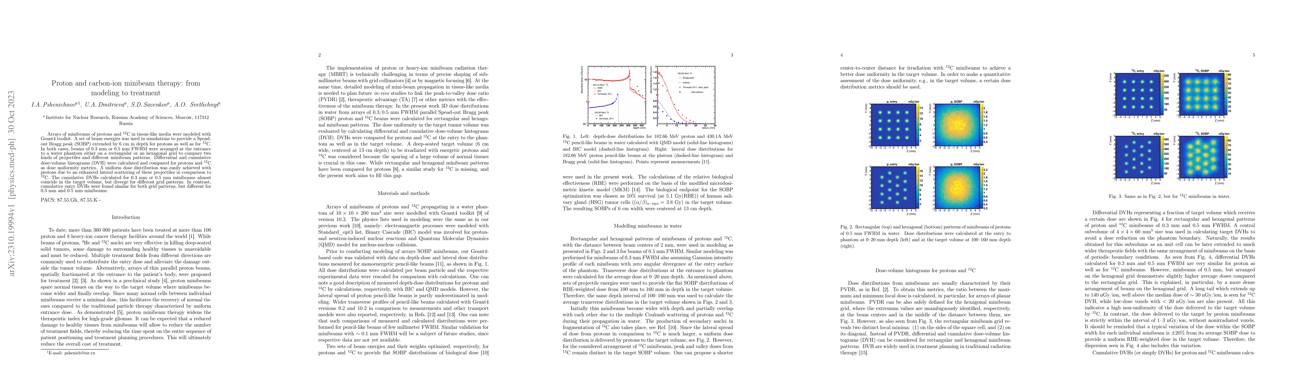Thumbnail for Proton and carbon-ion minibeam therapy: from modeling to treatment