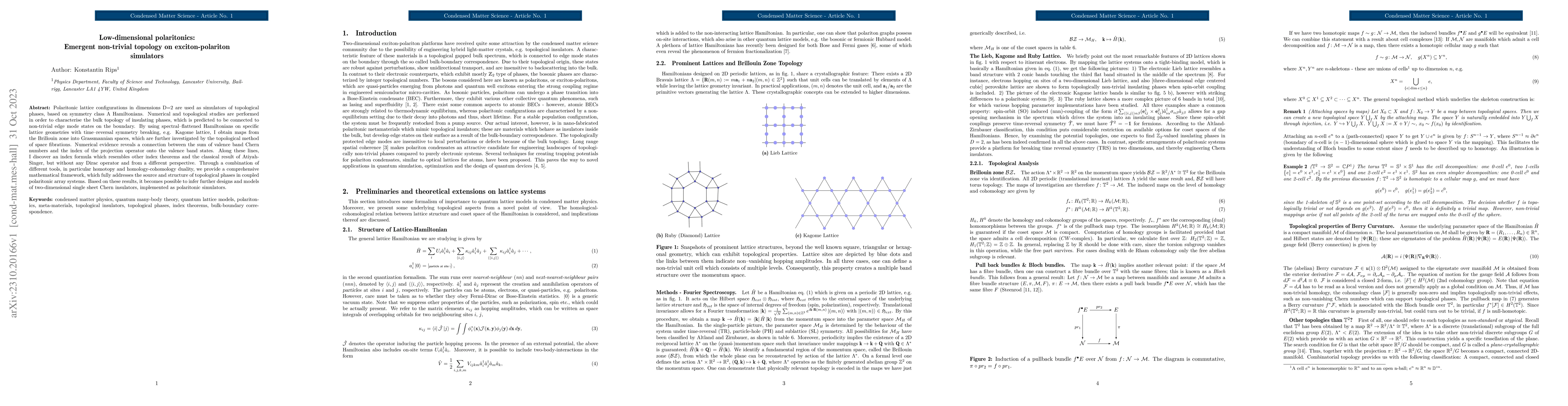 Thumbnail for Low-dimensional polaritonics: Emergent non-trivial topology on
  exciton-polariton simulators