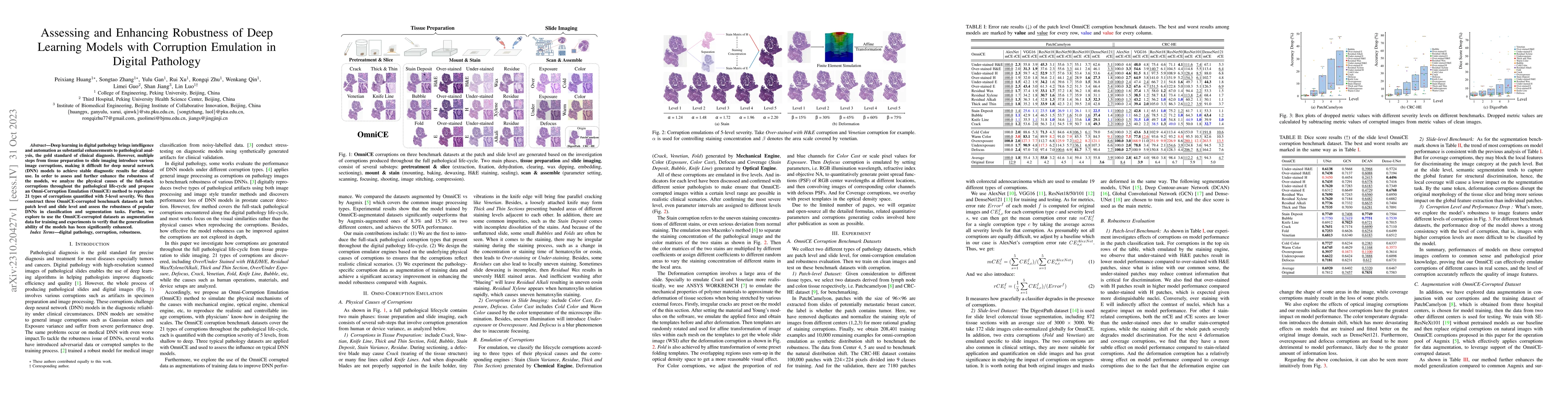 Thumbnail for Assessing and Enhancing Robustness of Deep Learning Models with
  Corruption Emulation in Digital Pathology