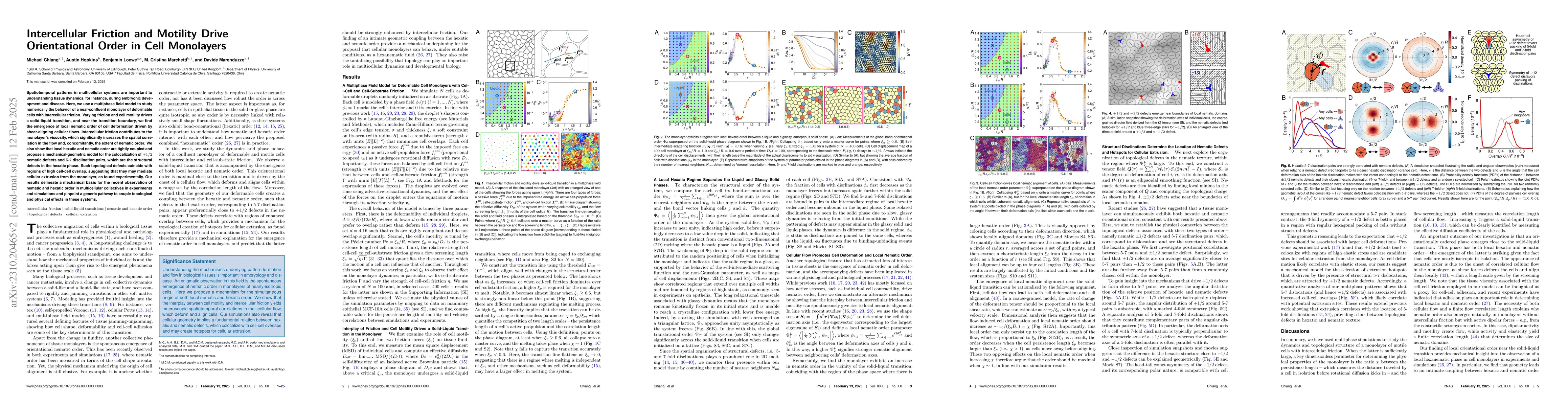 Thumbnail for Intercellular Friction and Motility Drive Orientational Order in Cell
  Monolayers