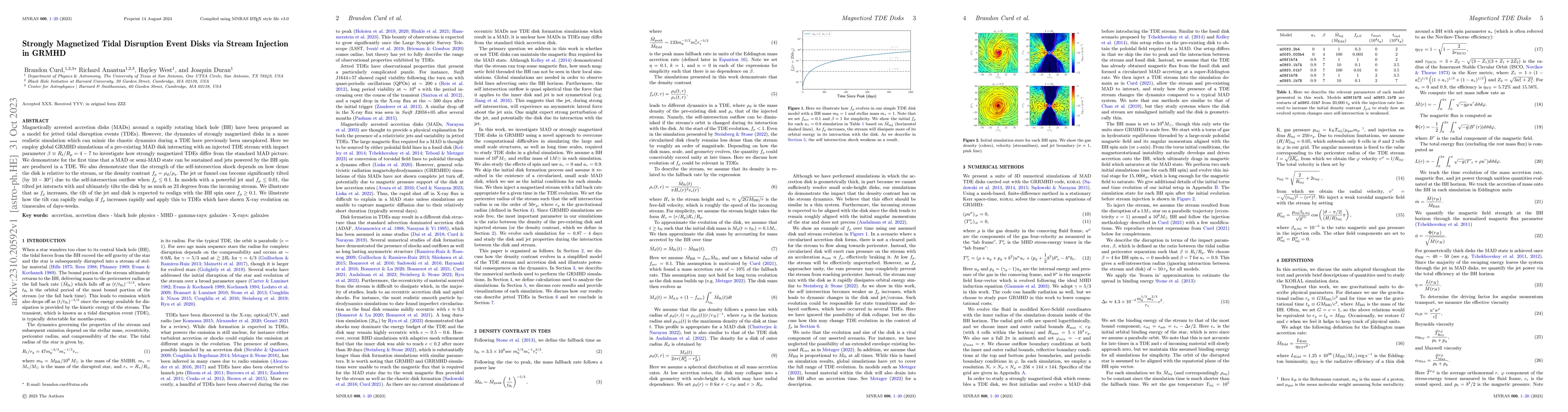 Thumbnail for Strongly Magnetized Tidal Disruption Event Disks via Stream Injection in
  GRMHD