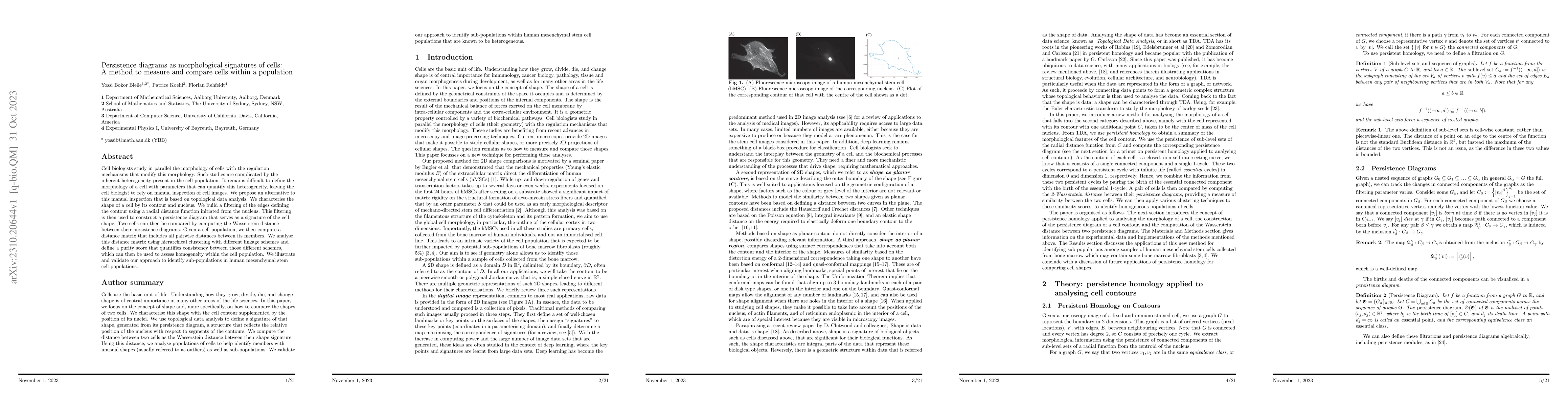 Thumbnail for Persistence diagrams as morphological signatures of cells: A method to
  measure and compare cells within a population