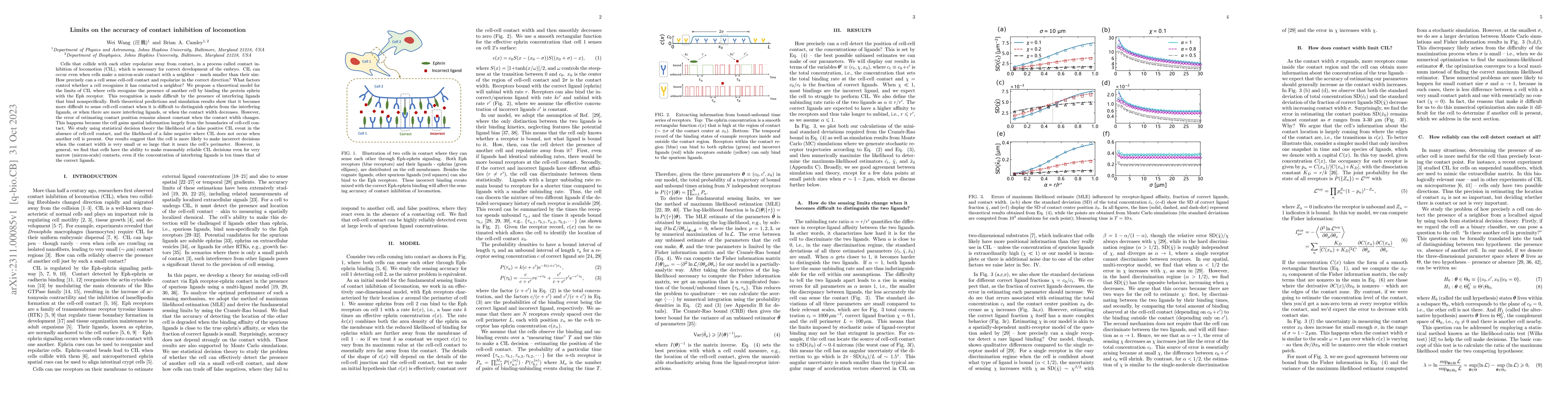 Thumbnail for Limits on the accuracy of contact inhibition of locomotion