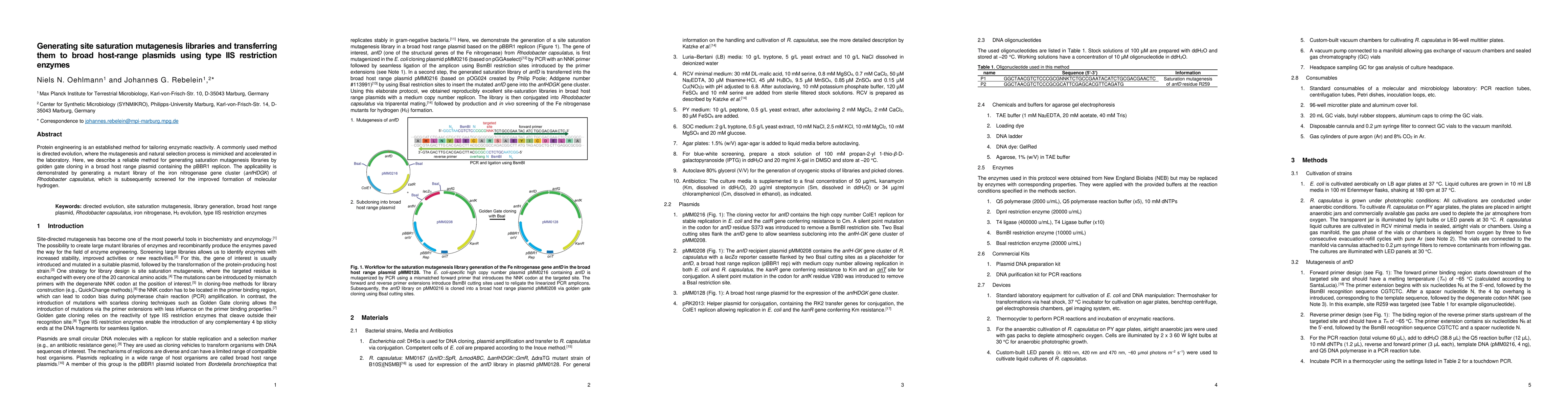 Thumbnail for Generating site saturation mutagenesis libraries and transferring them
  to broad host range plasmids using type IIS restriction enzymes