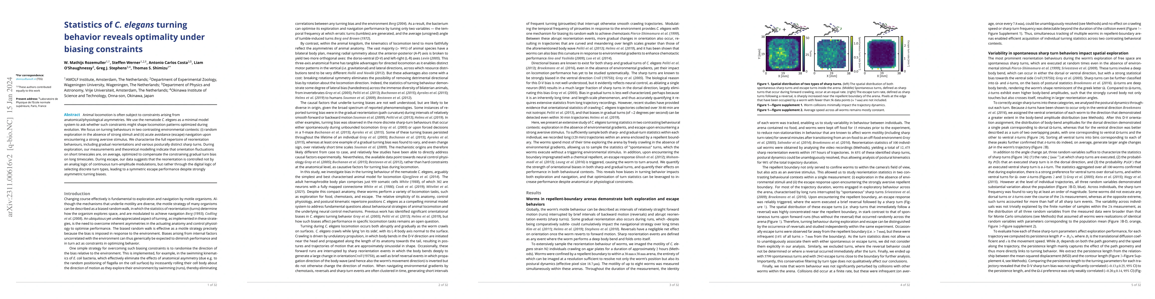 Thumbnail for Statistics of C. elegans turning behavior reveals optimality under
  biasing constraints