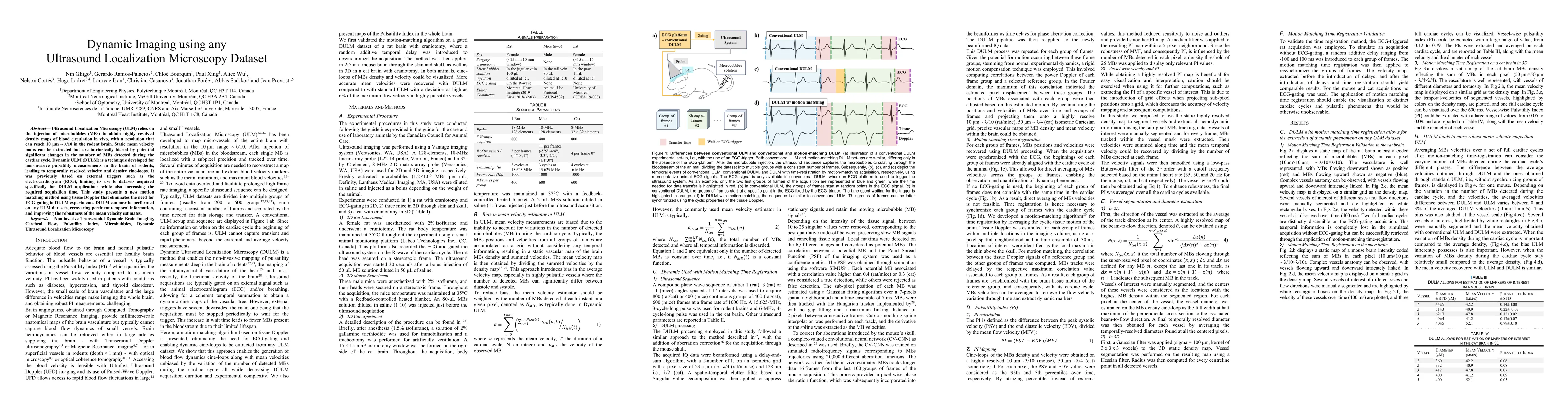 Thumbnail for Dynamic Imaging using any Ultrasound Localization Microscopy Dataset