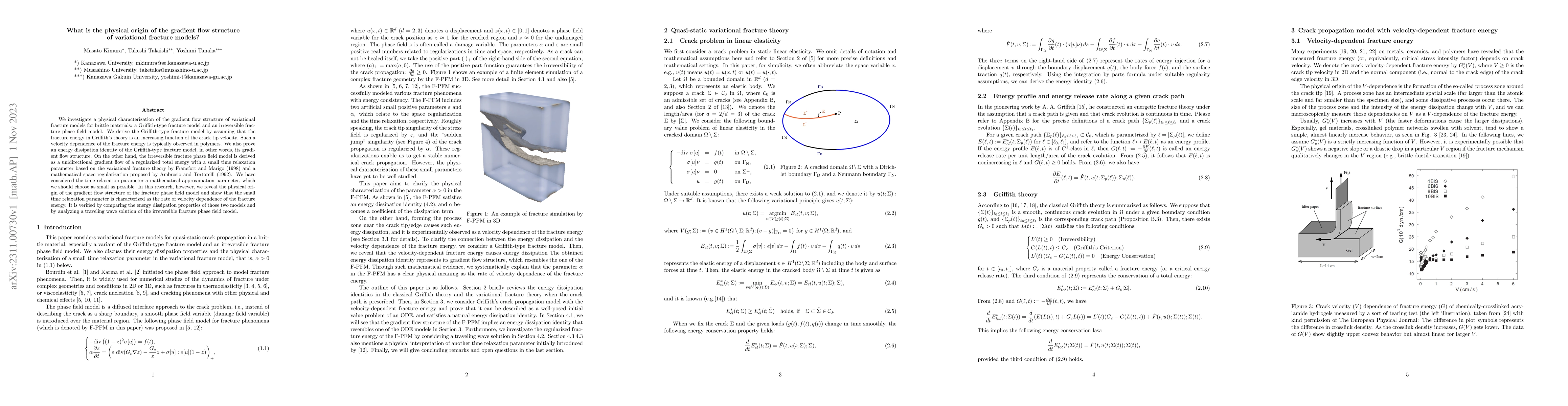 Thumbnail for What is the physical origin of the gradient flow structure of
  variational fracture models?