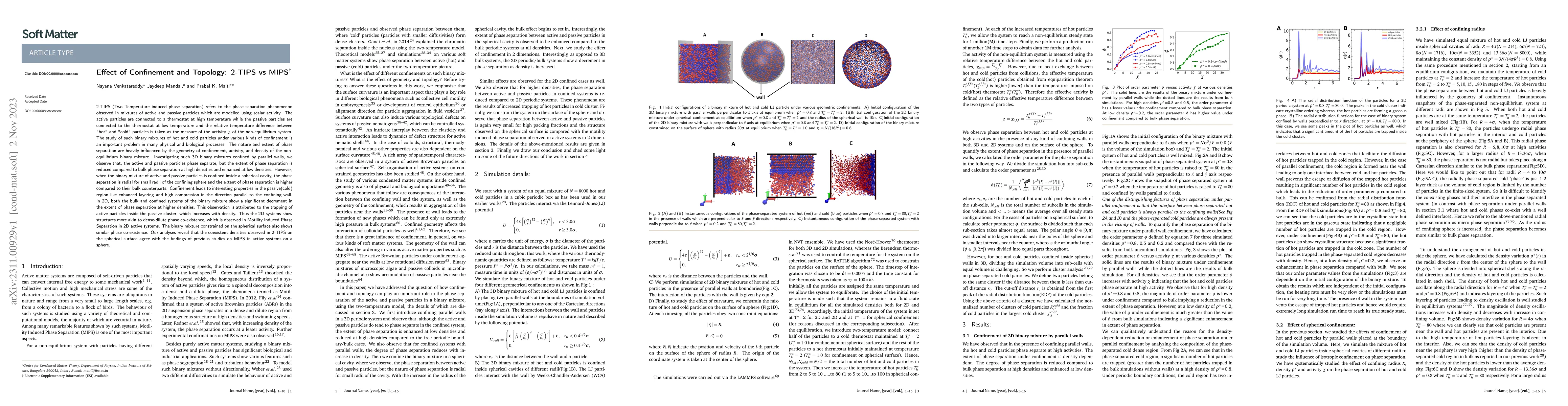Thumbnail for Effect of Confinement and Topology: 2-TIPS vs MIPS