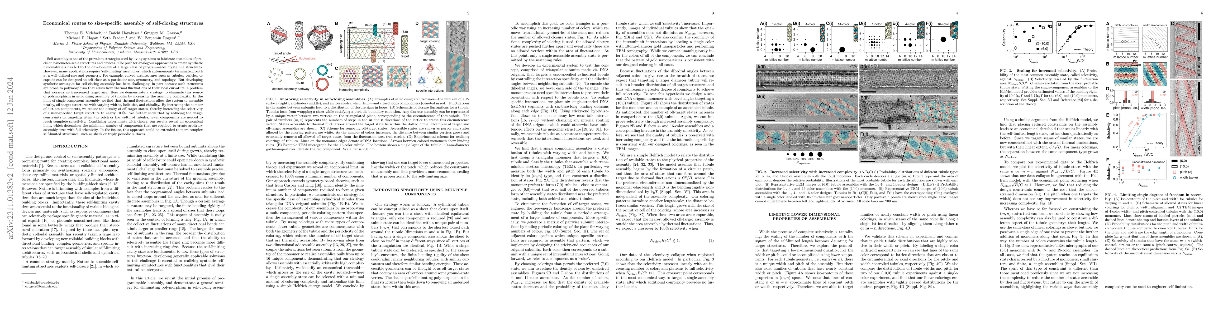 Thumbnail for Economical routes to size-specific assembly of self-closing structures