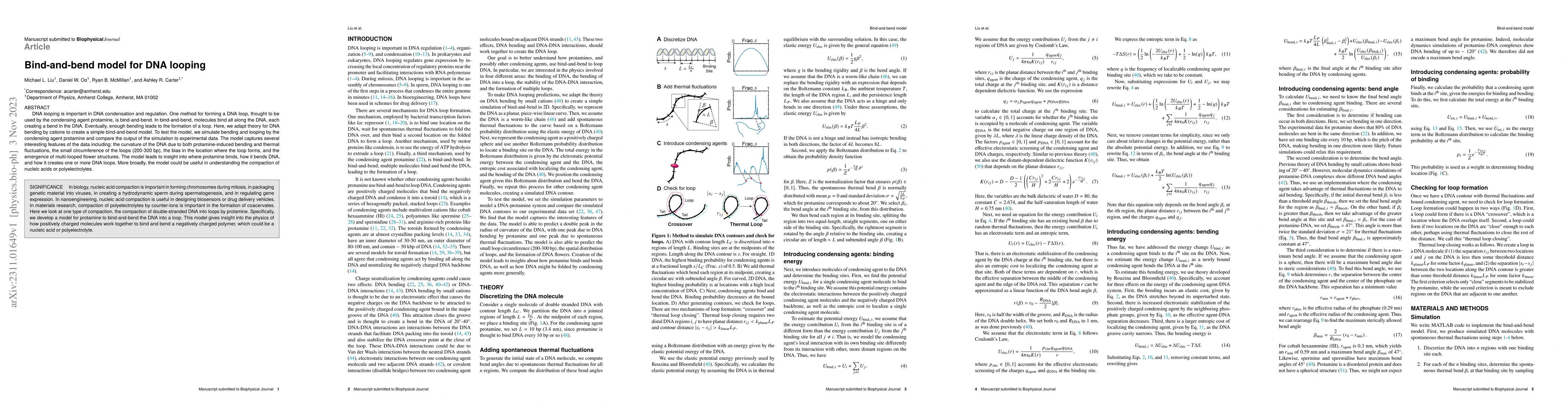 Thumbnail for Bind-and-bend model for DNA looping