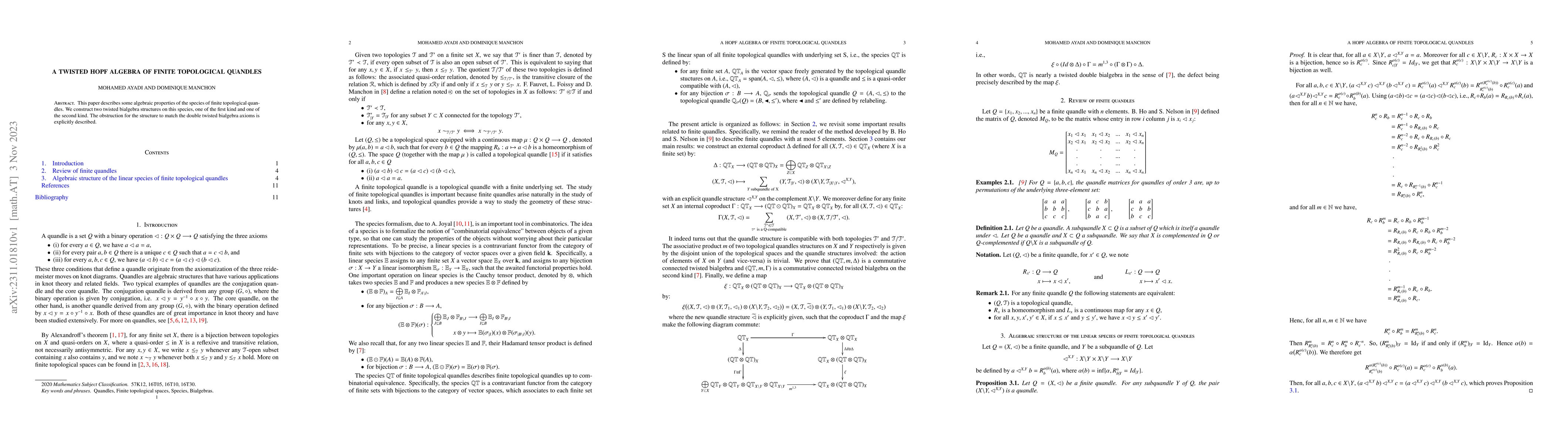 Thumbnail for A twisted Hopf algebra of finite topological quandles