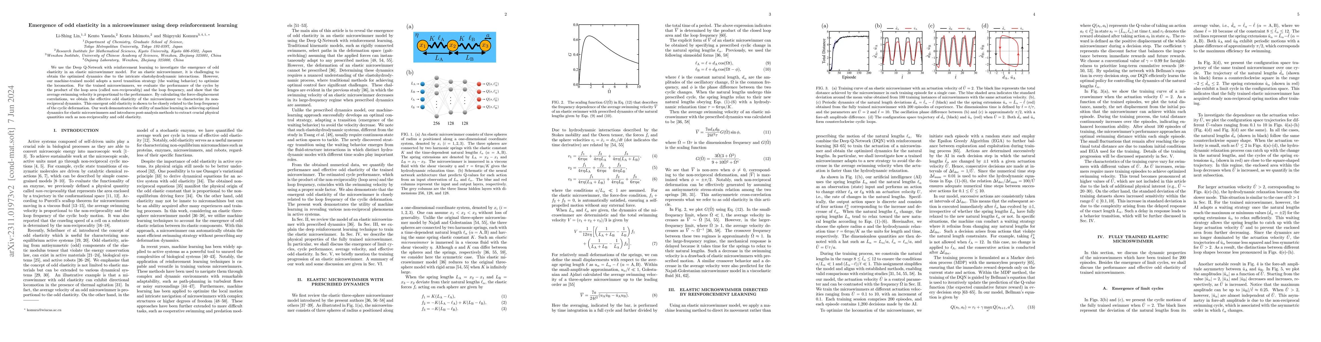 Thumbnail for Emergence of odd elasticity in a microswimmer using deep reinforcement
  learning