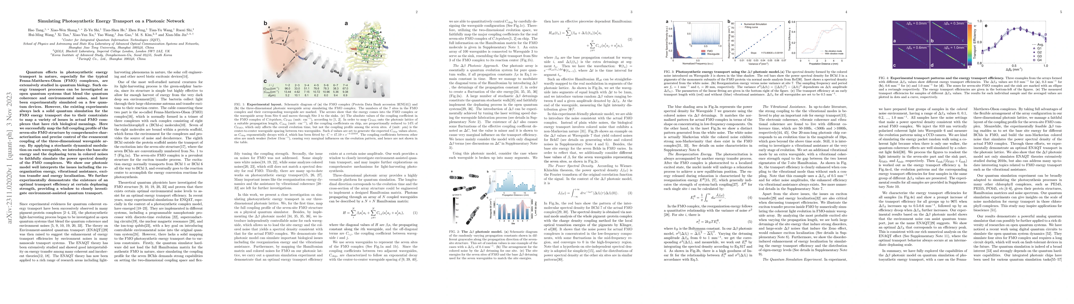 Thumbnail for Simulating Photosynthetic Energy Transport on a Photonic Network