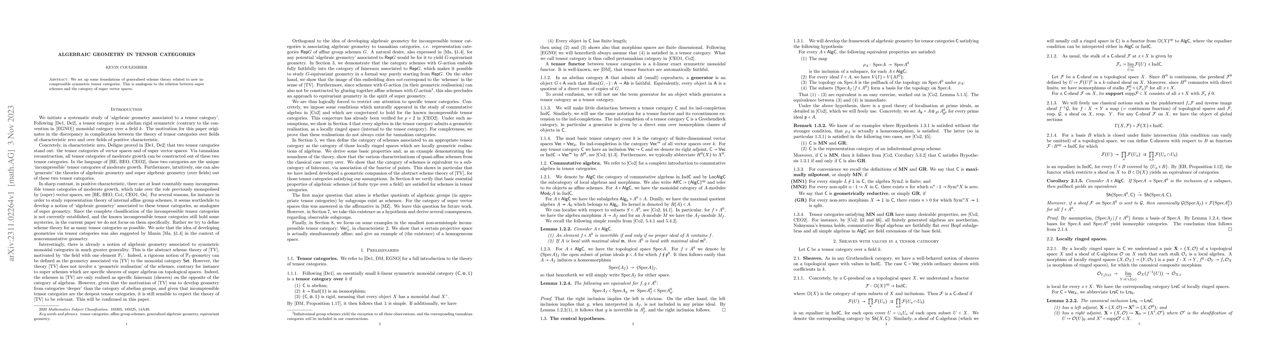 Thumbnail for Algebraic geometry in tensor categories