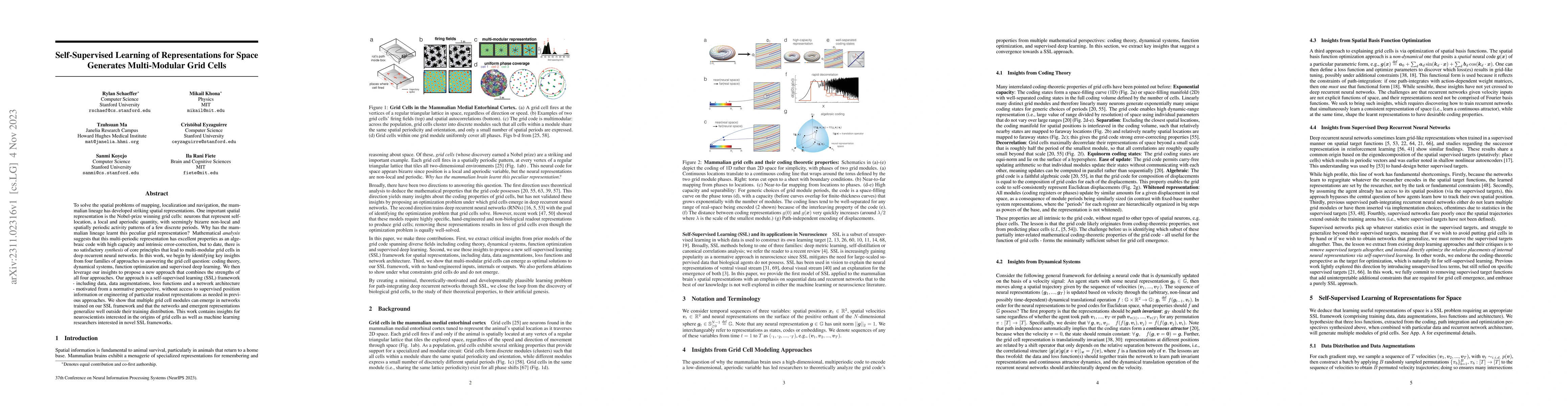 Thumbnail for Self-Supervised Learning of Representations for Space Generates
  Multi-Modular Grid Cells