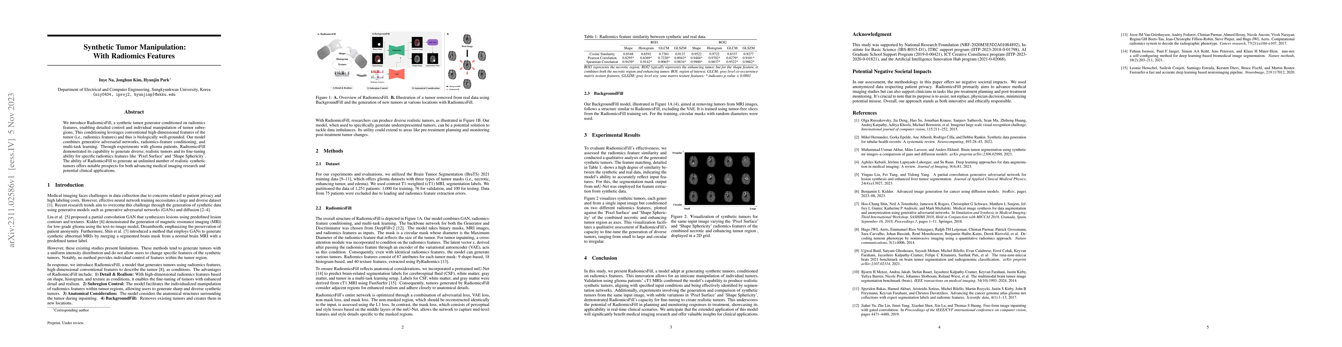 Thumbnail for Synthetic Tumor Manipulation: With Radiomics Features
