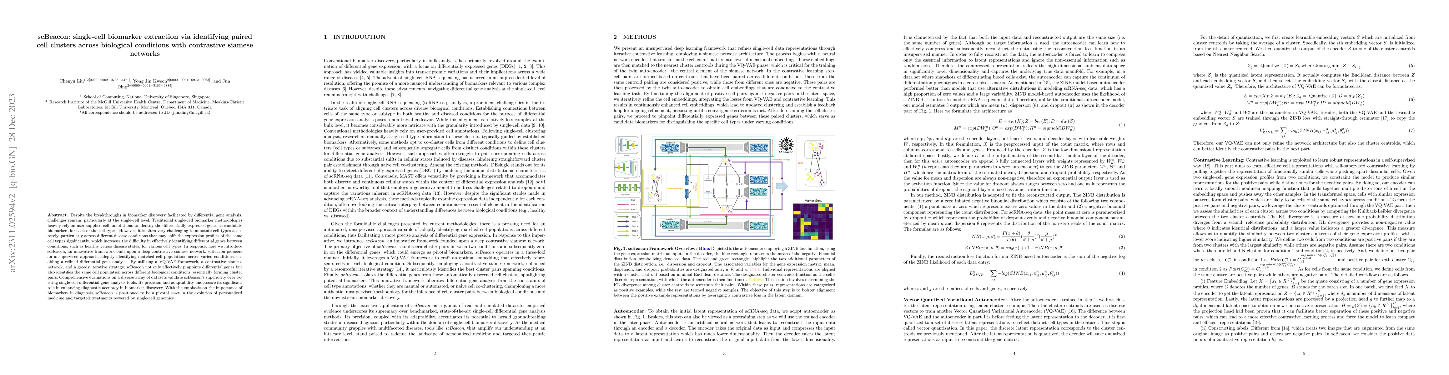 Thumbnail for scBeacon: single-cell biomarker extraction via identifying paired cell
  clusters across biological conditions with contrastive siamese networks