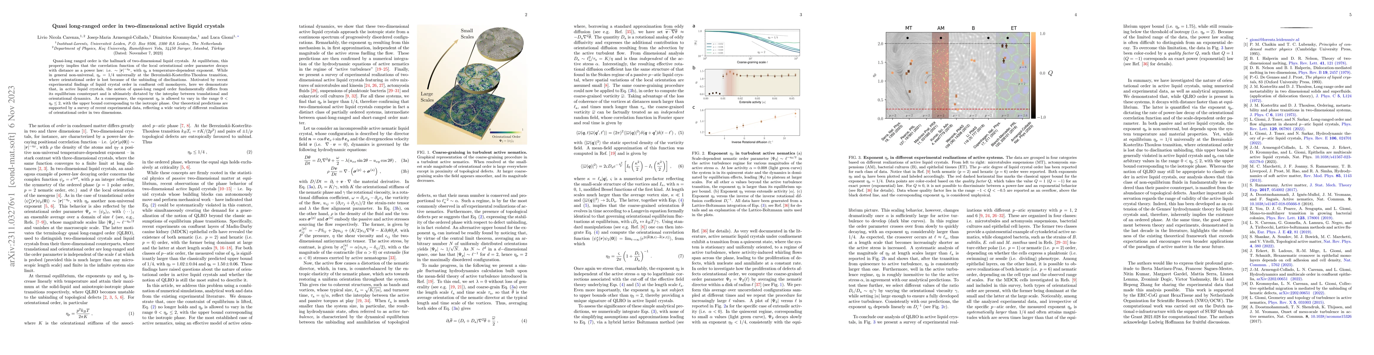 Thumbnail for Quasi long-ranged order in two-dimensional active liquid crystals