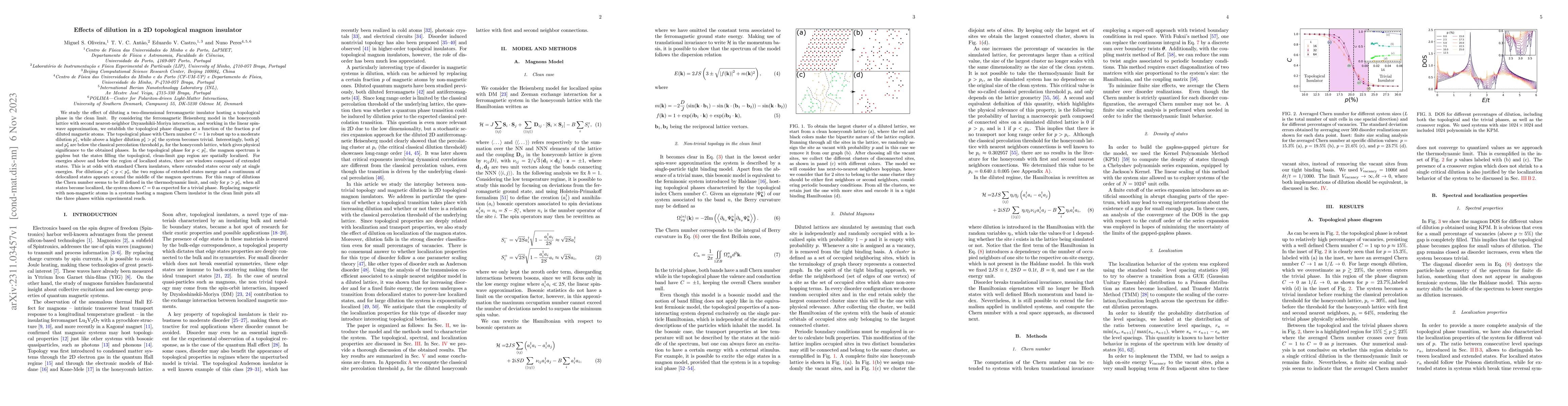 Thumbnail for Effects of dilution in a 2D topological magnon insulator