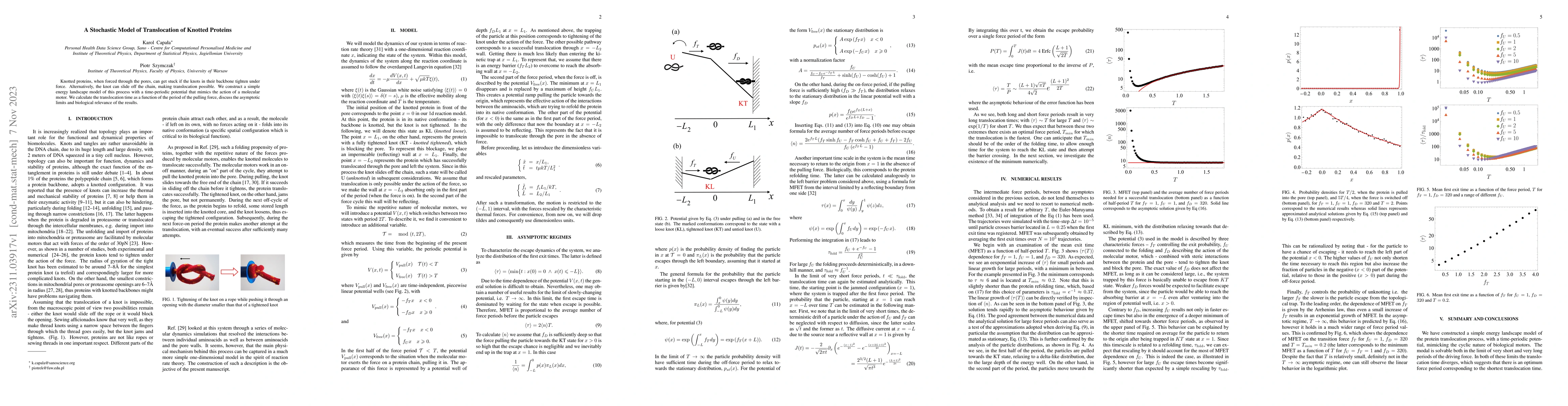Thumbnail for A Stochastic Model of Translocation of Knotted Proteins