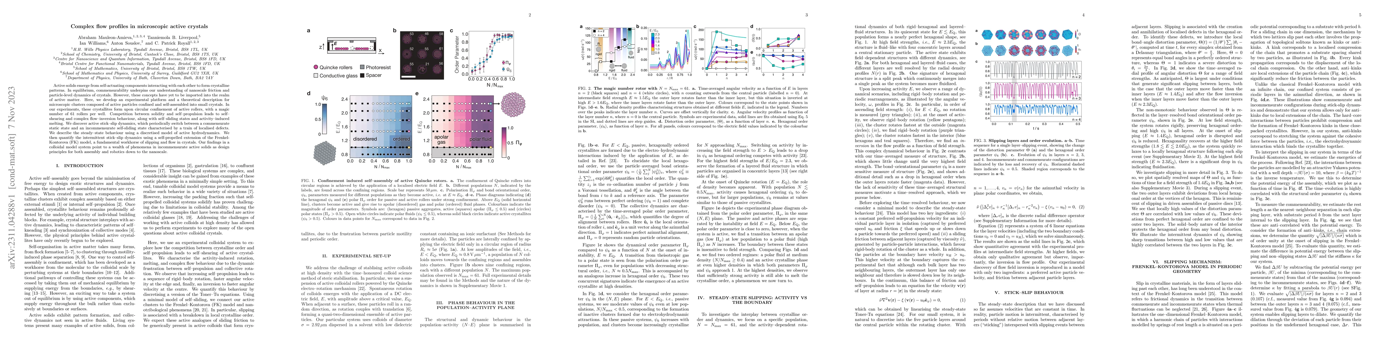 Thumbnail for Complex flow profiles in microscopic active crystals